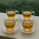 Jogo 4 Xícaras de Chá Bird com Pires Cristal 180ml