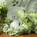 Jogo 6 Xícaras de Café com Pires Orgânico Ammi 120ml