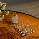 Conjunto 6 Colheres com Suporte Crystal Niquelado Zamac 14cm